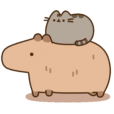 Capybara and cat